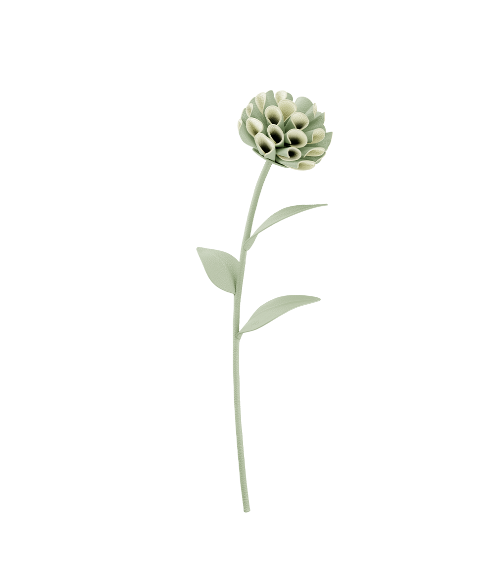Polène | Flowers - Dalium - Fresh Almond – Polène EU