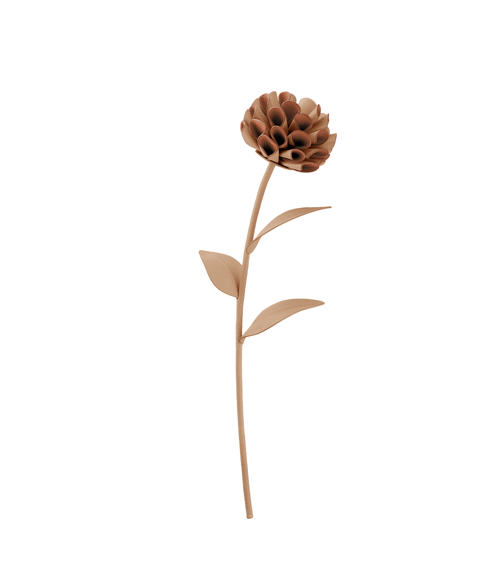 Polène | Flowers - Dalium - Beige – Polène EU