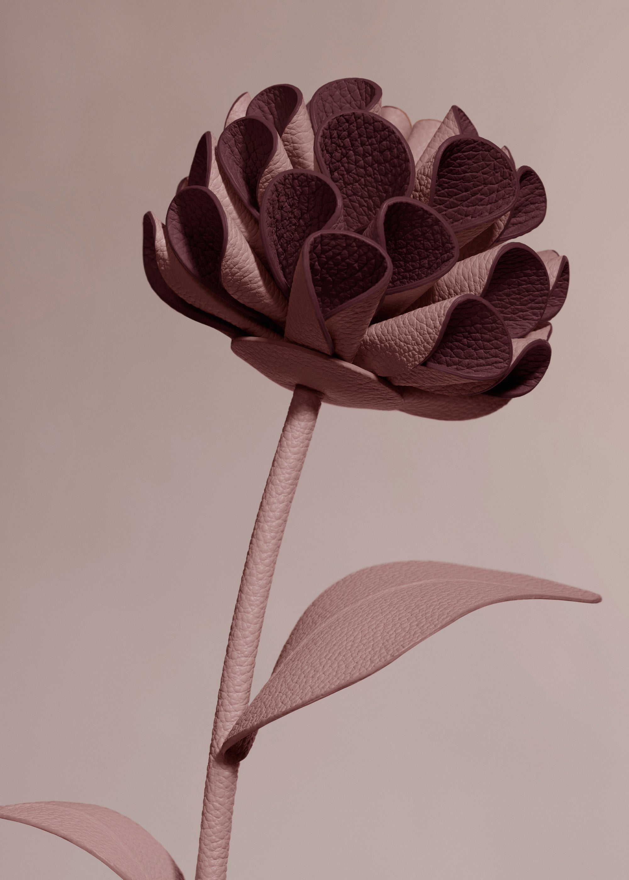 Leather flowers – Polène EU