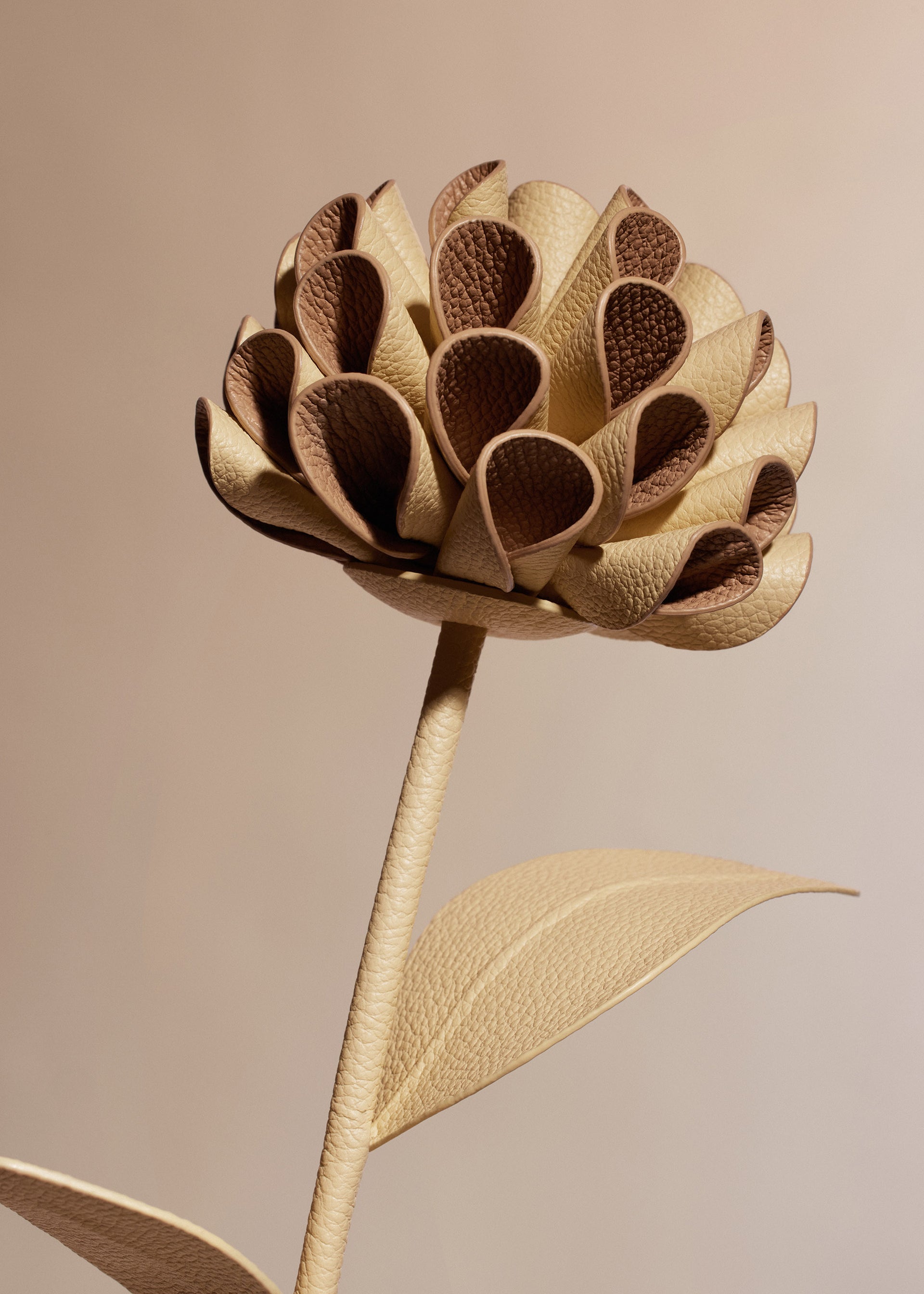 Dalium Flower - Textured Duo Wheat