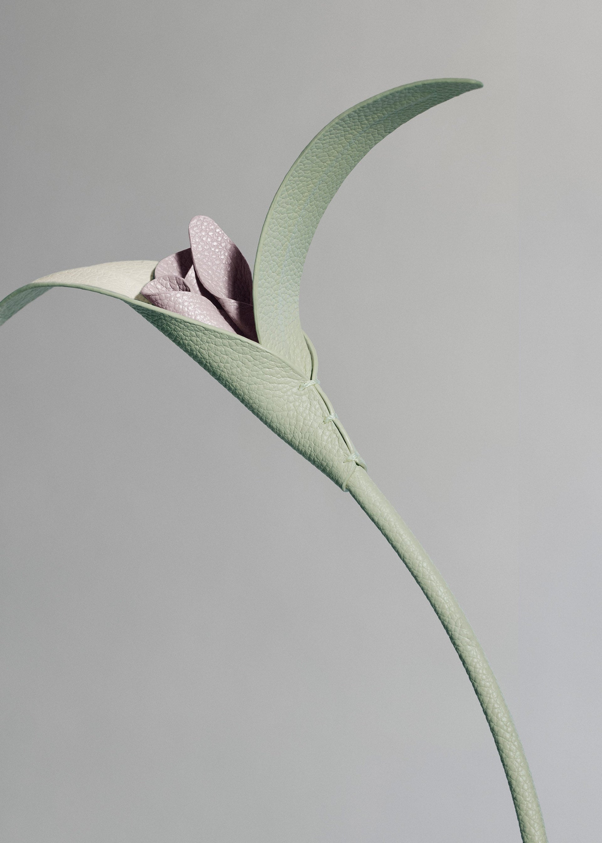 Touka Flower - Fresh Almond