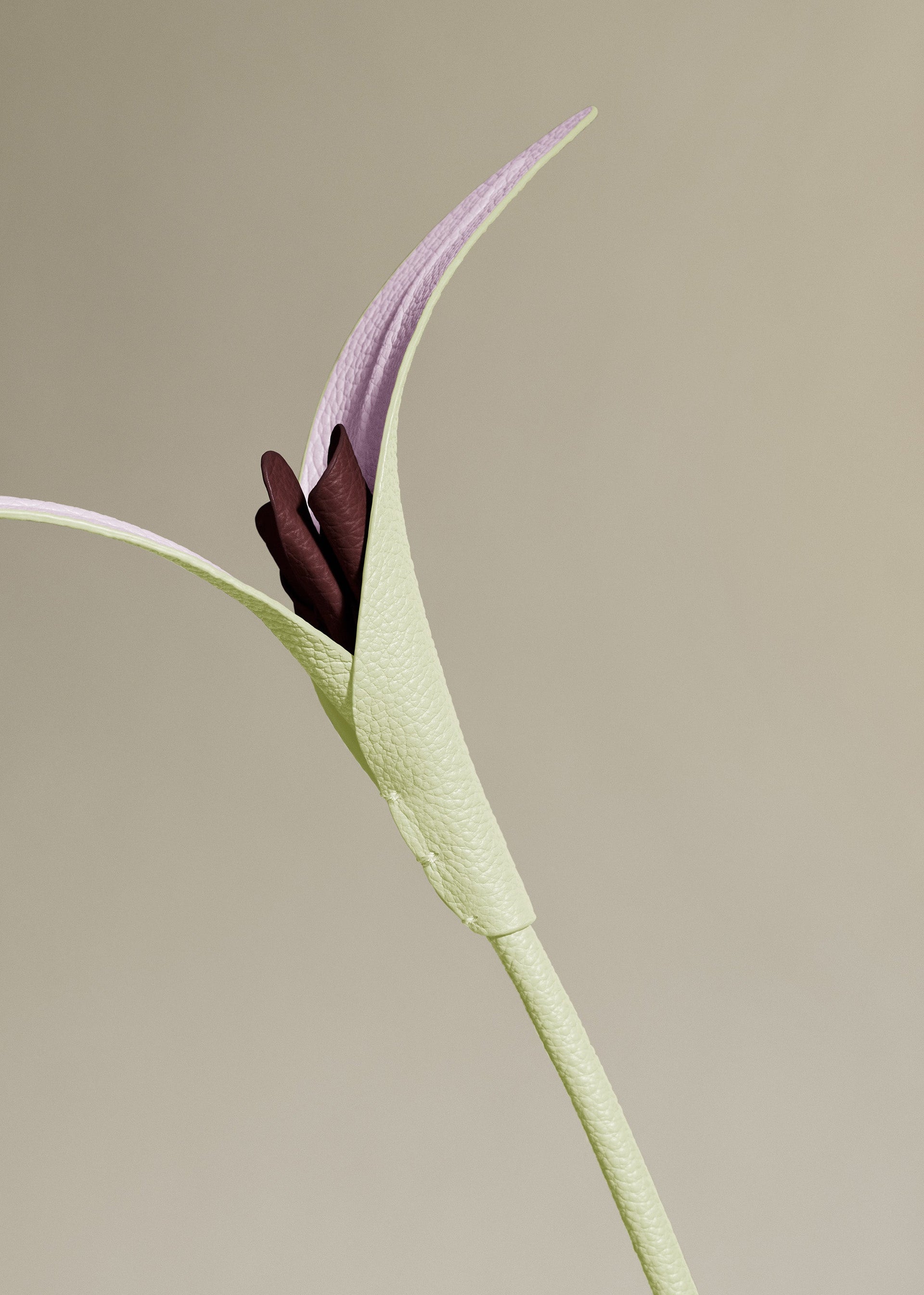 Touka Flower - Aloe