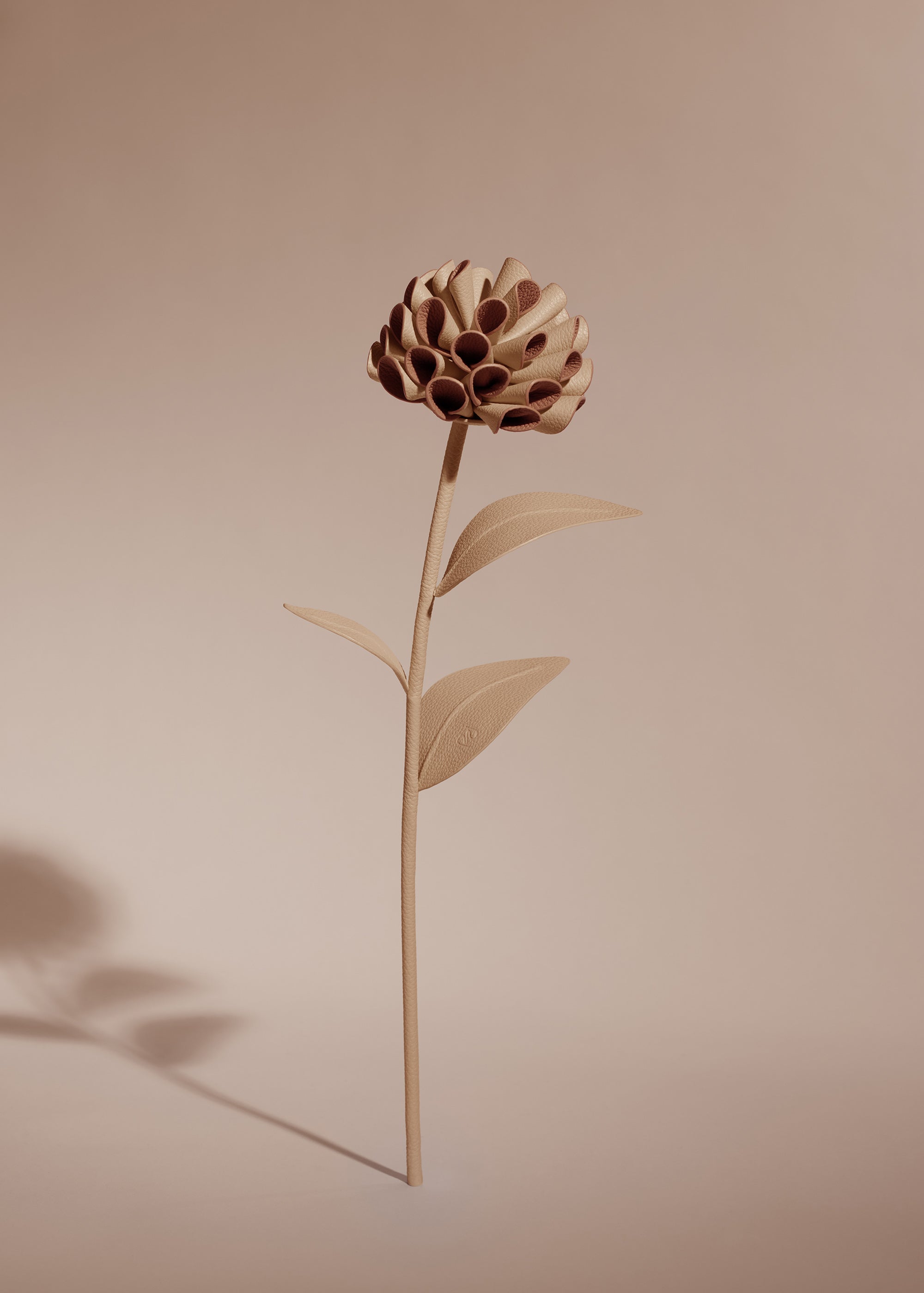 Polène | Flowers - Dalium - Beige – Polène EU